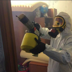 Уничтожение клопов в квартире. Трубная